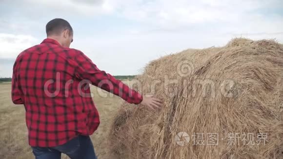 智慧农业理念.. 一个农夫在一块数字平板电脑上的田野里研究干草堆。 慢速视频