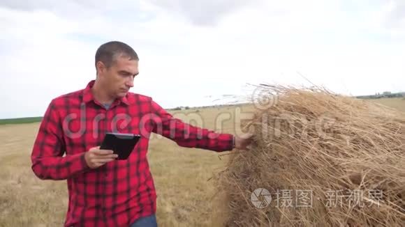 智慧农业理念.. 在数字平板电脑上研究干草堆的农民。 慢动作