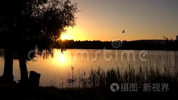 湖面上美丽的日落视频