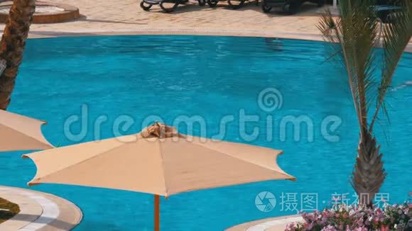 埃及酒店游泳池旁的太阳伞和蓝色的水