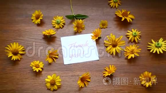 木制的黄色大雏菊的气味视频