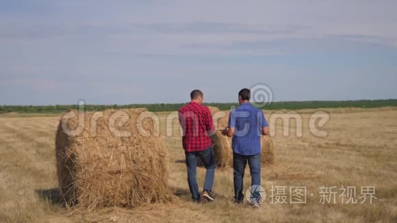 团队农业智慧农业理念.. 两个男的农民工人在田野上散步，学习生活方式