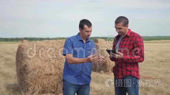 团队生活方式农业智慧农业理念.. 两个男子农民工人在数字领域研究干草堆