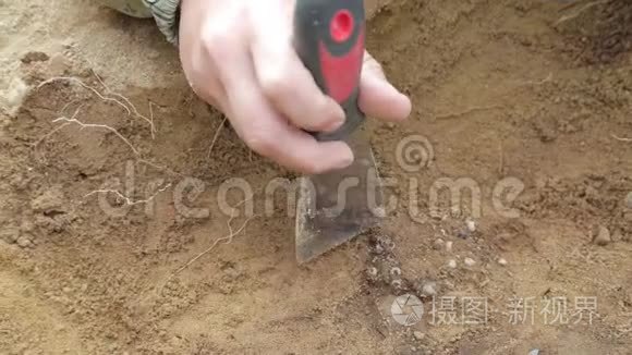 考古学家的工作视频