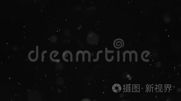 从夜空落下的雪粒视频