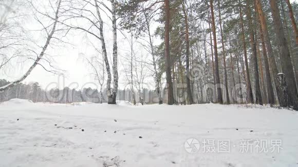 专业的极限运动员骑自行车在户外骑胖自行车。 后轮的近距离观察。 冬天骑自行车