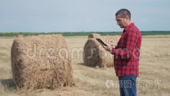 智慧农业理念.. 一名农民工人在数字平板电脑上的田野里研究干草堆。 慢速视频