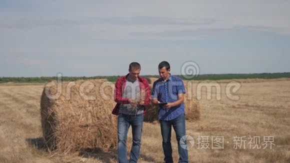 团队农业智慧农业理念.. 两名男工、农民在数字平板电脑上走在田里的干草堆上