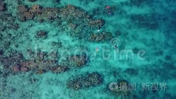 加勒比海珊瑚礁和浮潜器视频