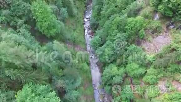 空中观景，飞越奥地利山区的森林，