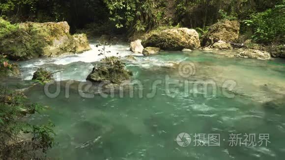 雨林里的河流视频