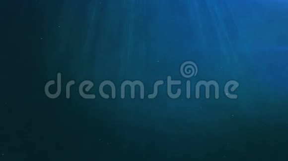 深海背景视频素材模板大全 新视界深海背景实拍视频素材库 深海背景视频素材模板大全 新视界深海背景实拍视频素材库
