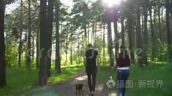 一男一女正和狗在树林里散步视频