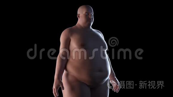 一个肥胖的男人视频