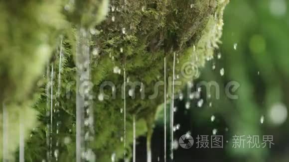 苔藓带球的泉水慢动作特写视频