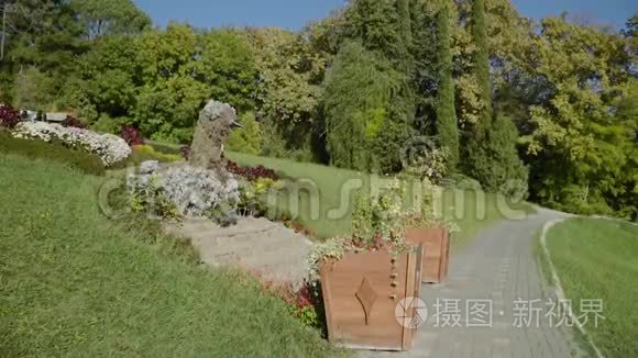 俄罗斯索契市植物园视频