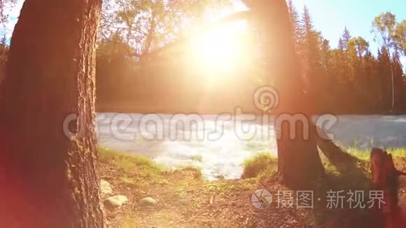 山河岸边的草甸。 有绿草，松树和阳光的景观.. 在机动滑块小车上运动。