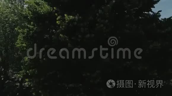 意大利里维埃拉提供无人机飞行，靠近山脉，意大利湖，无人机4k自然飞行酒店