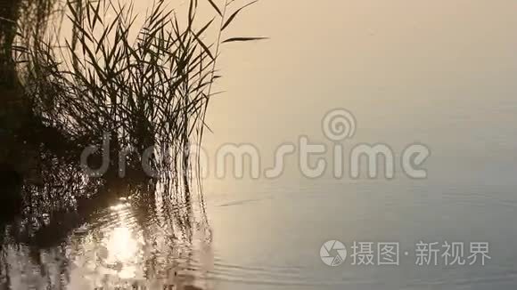 湖面上美丽的日出和阳光视频