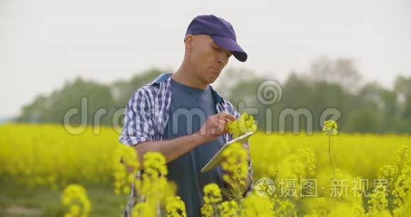 用数字平板电脑查看田间花开的农民