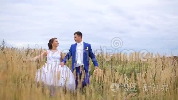 快乐美丽的新娘新郎走在田野上视频