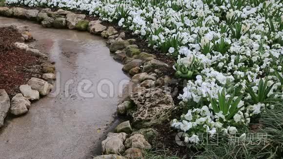 植物园春季景观设计视频