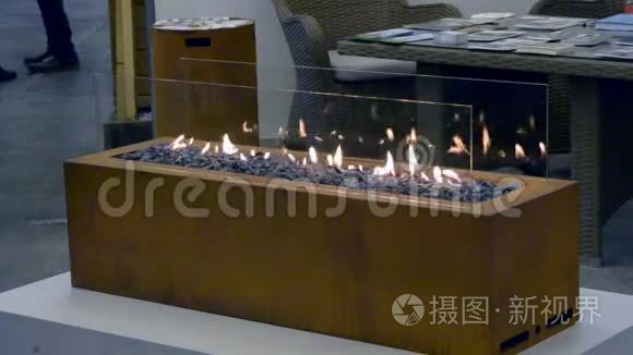 乙醇气体现代生物壁炉视频