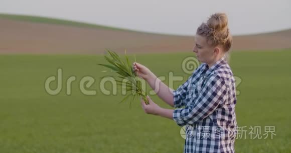 田间作物研究女研究员视频