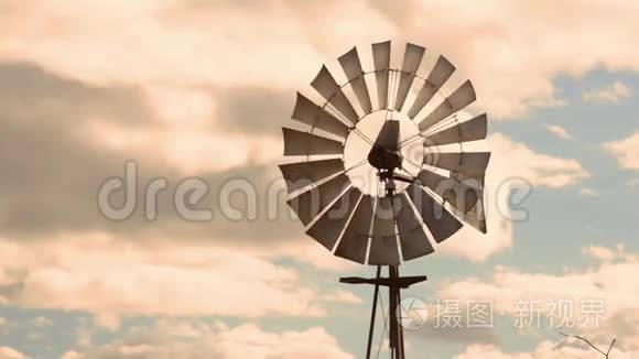 布里斯班的风车视频