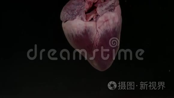 在黑色背景下的水族馆里有血的心脏