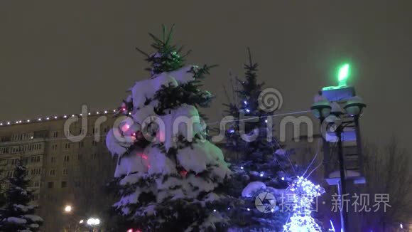 树在冬天的雪视频