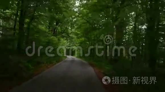 路在秋林中.. 普利特维，国家公园普利特维卡耶泽拉，克罗地亚。 4k