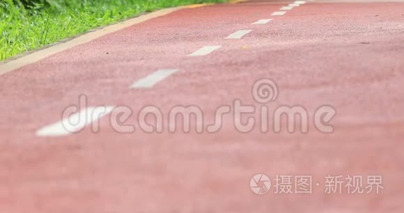 女子跑步者晨跑公园路锻炼慢跑视频