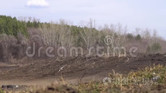 赛道上的莫托科罗斯比赛视频