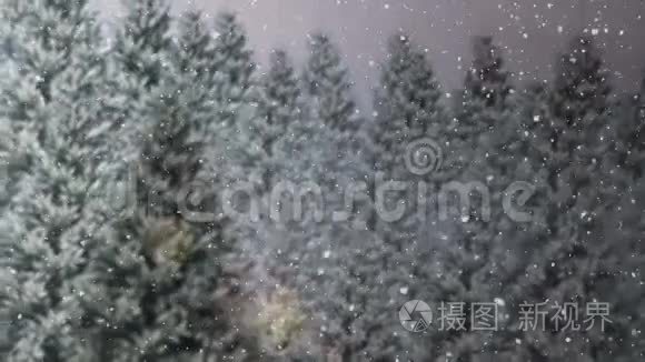 窗台上的雪球望着白雪皑皑的森林