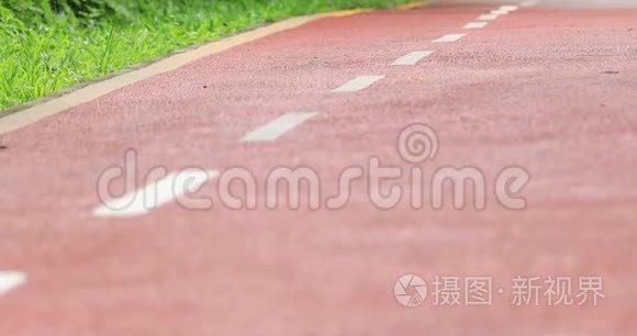 女子跑步者晨跑公园路锻炼慢跑视频