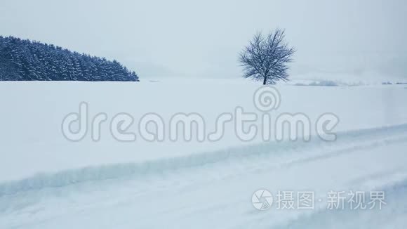 冬天的风景有雪覆盖的树和降雪。