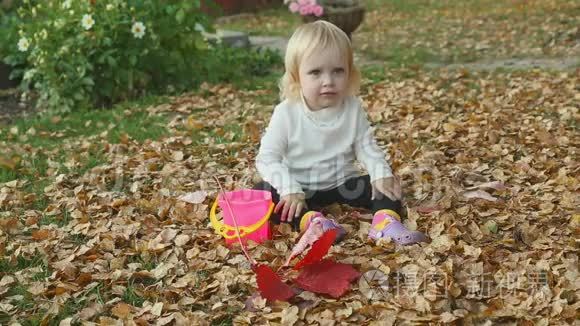 可爱的女婴在秋天玩树叶视频