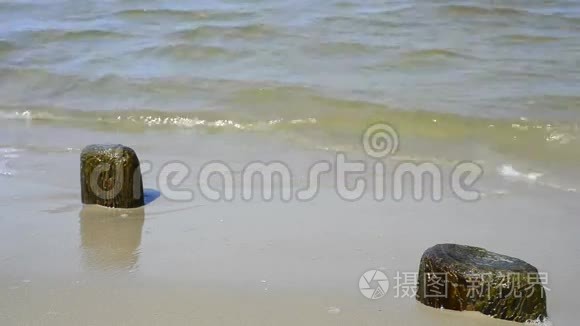 波罗的海的海滩上有软波浪石视频