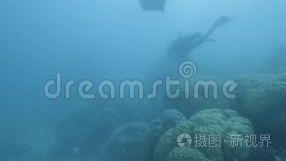 研究人员在水下寻找珊瑚礁视频