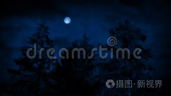 风夜的月亮和树木视频