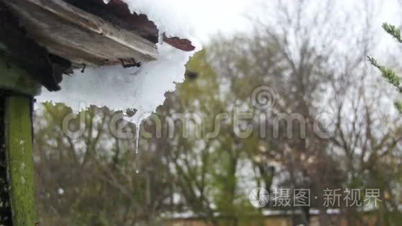 雪从屋顶上融化，在春天里滴水