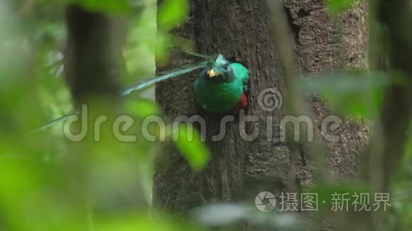 优秀的男性视频