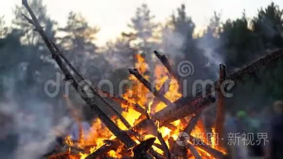 人们背景下森林中的枝干夜间燃烧的大篝火