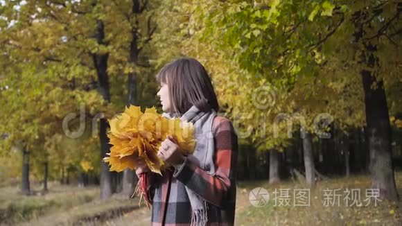 黄色叶子的气味。 秋天的女孩在城市公园散步。 快乐可爱美丽的年轻女子画像