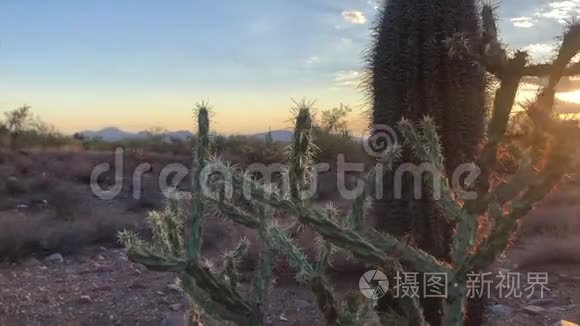 亚利桑那州斯科茨代尔沙漠日落视频