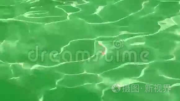 纹理背景波的水（绿色）