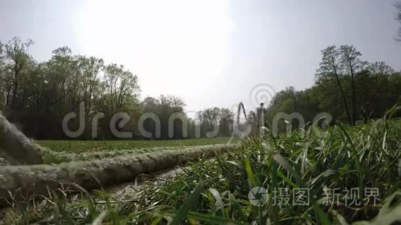 强壮的肌肉男用绳子锻炼视频