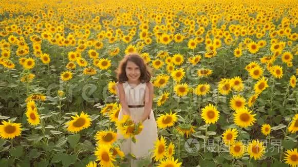 夏天向日葵领域快乐的小生活方式女孩。 向日葵上美丽的小女孩。 慢速视频