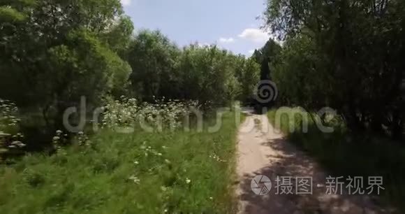 小森林道路上的鸟瞰图视频